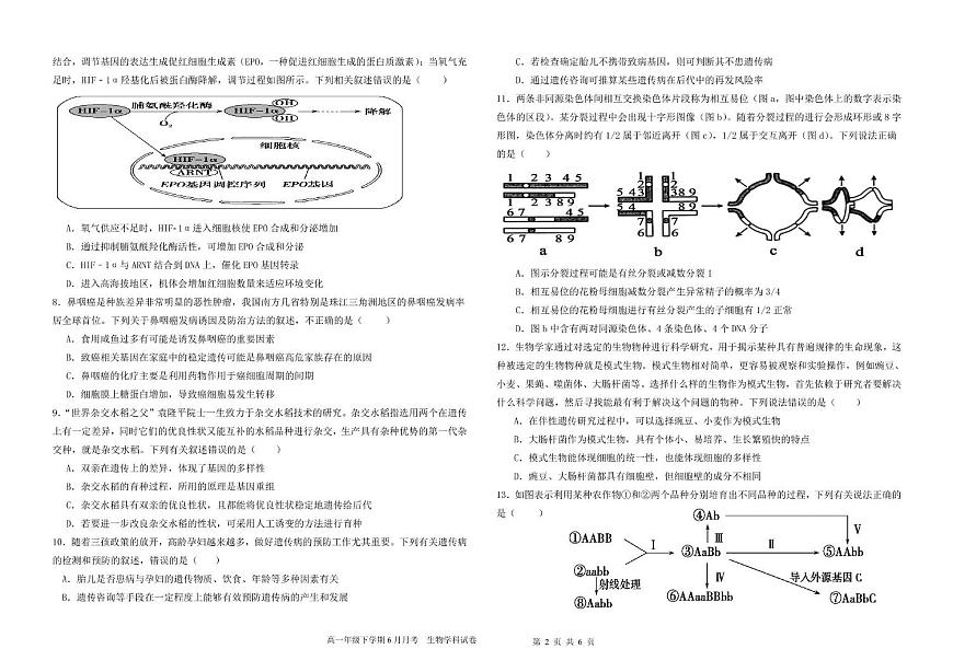 黑龙江省双鸭山市第一中学2024-2025学年高一下学期6月月考生物试卷+答案第2页