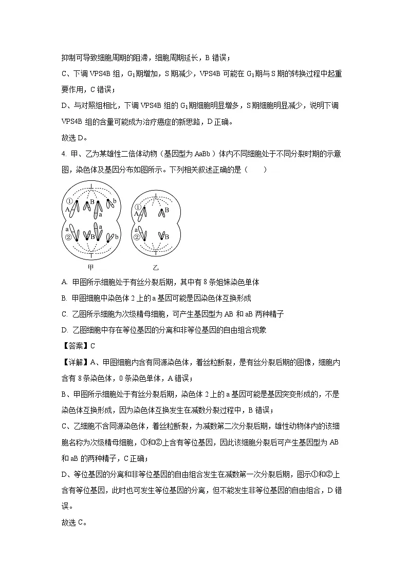 【生物】四川省泸州市三校联盟2024-2025学年高一下学期期末联合考试学试题（解析版）第3页