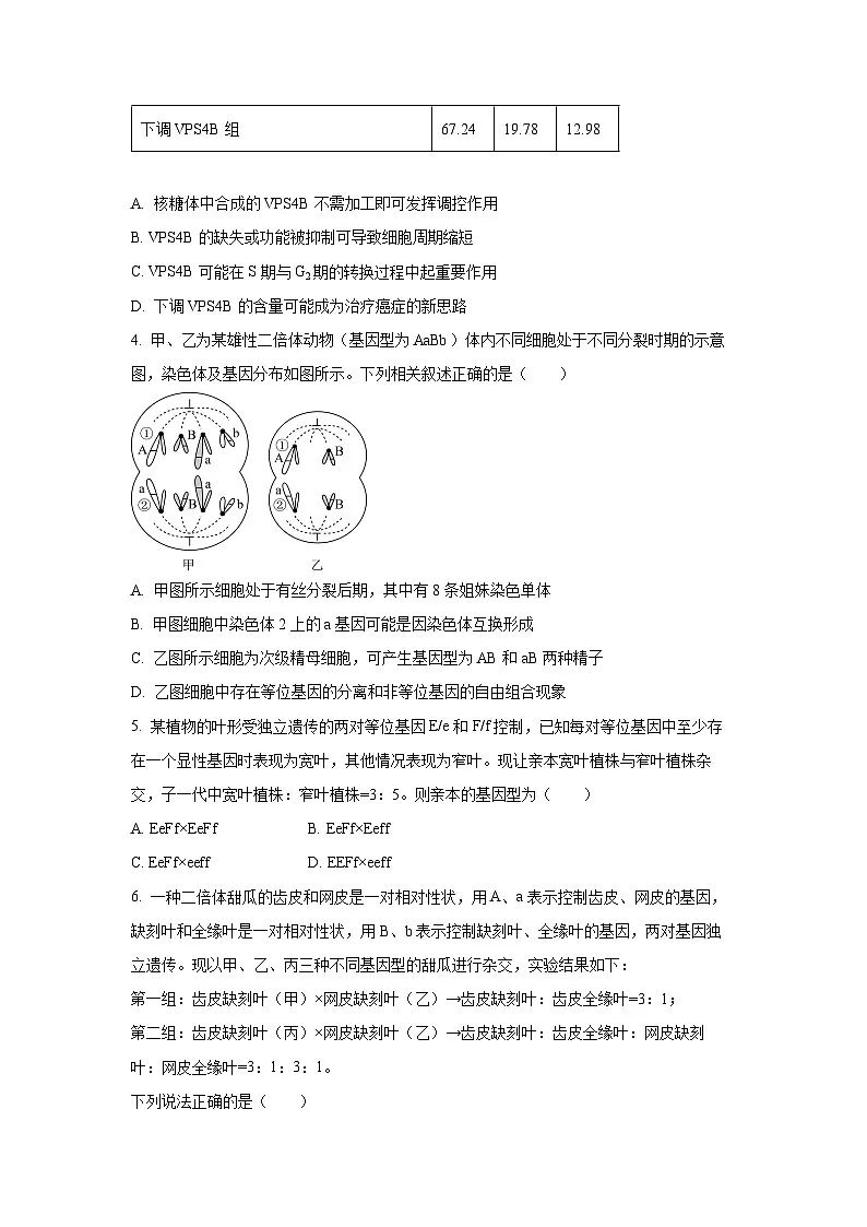 【生物】四川省泸州市三校联盟2024-2025学年高一下学期期末联合考试学试题（学生版）第2页
