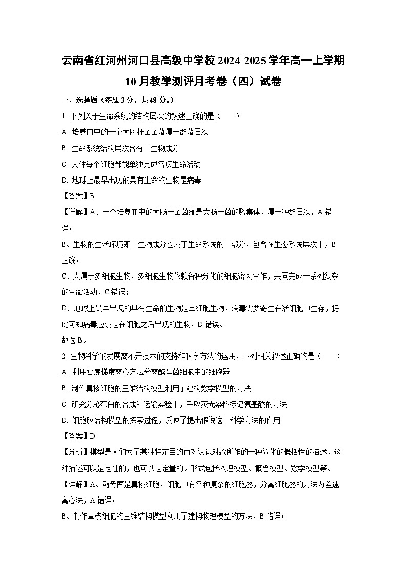 【生物】云南省红河州河口县高级中学校2024-2025学年高一上学期10月教学测评月考卷（四）试卷 （解析版）第1页