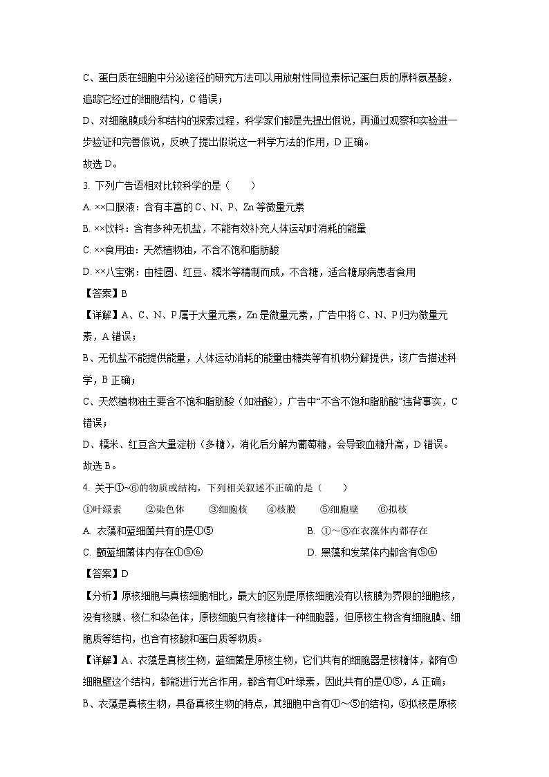 【生物】云南省红河州河口县高级中学校2024-2025学年高一上学期10月教学测评月考卷（四）试卷 （解析版）第2页