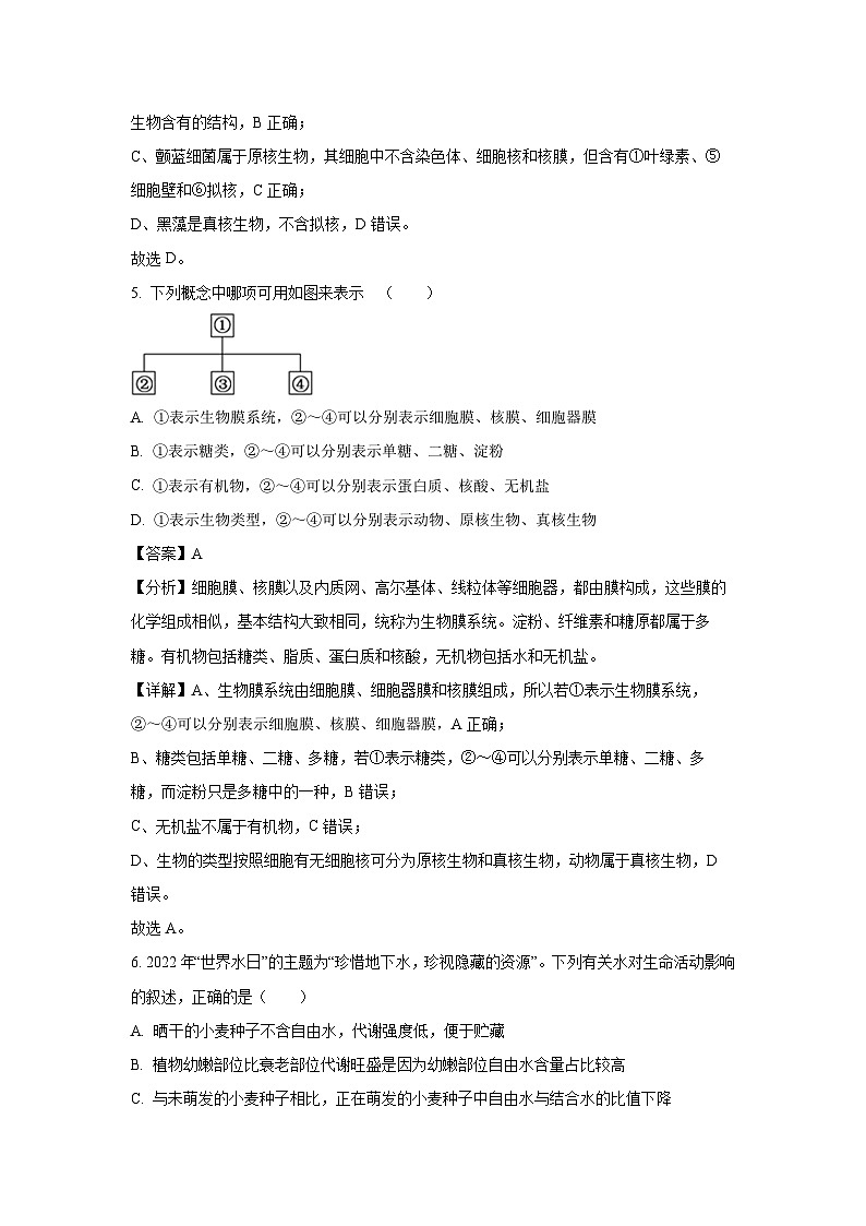 【生物】云南省红河州河口县高级中学校2024-2025学年高一上学期10月教学测评月考卷（四）试卷 （解析版）第3页