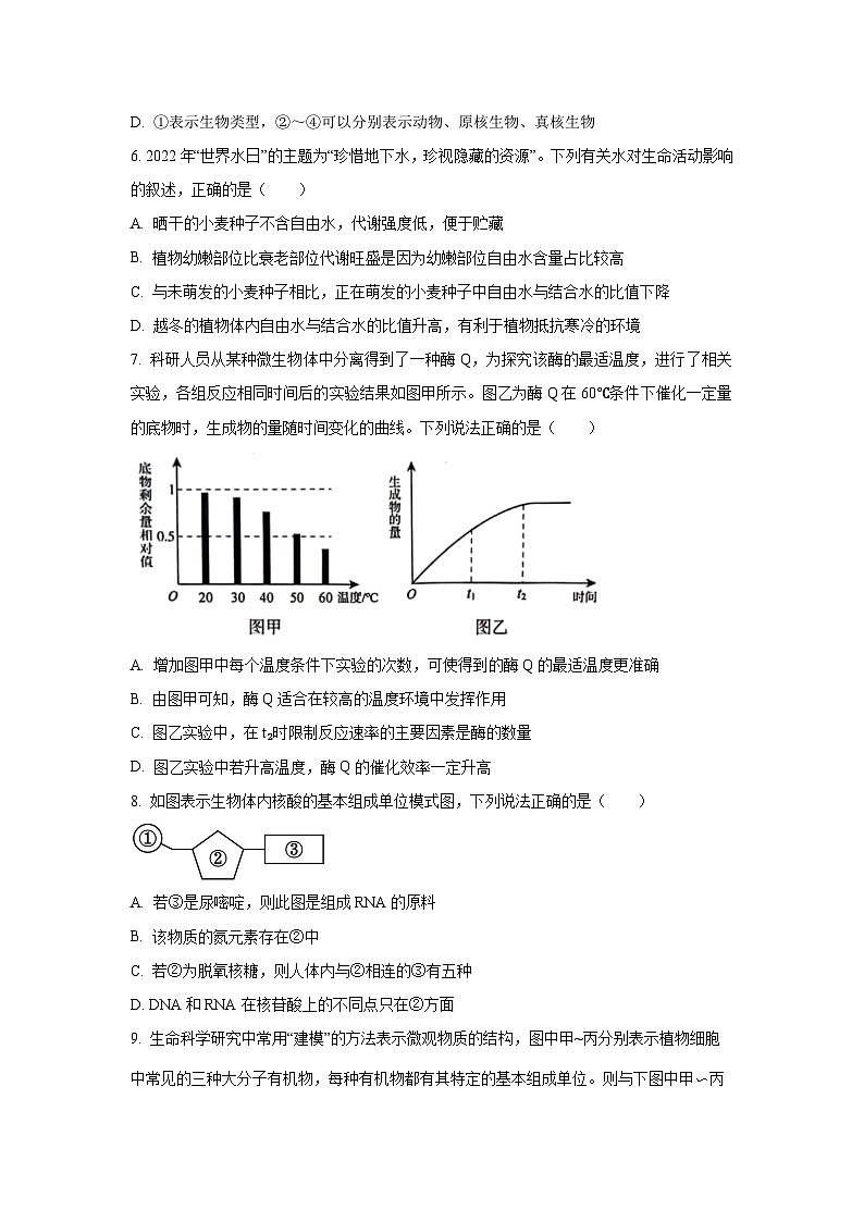 【生物】云南省红河州河口县高级中学校2024-2025学年高一上学期10月教学测评月考卷（四）试卷 （学生版）第2页