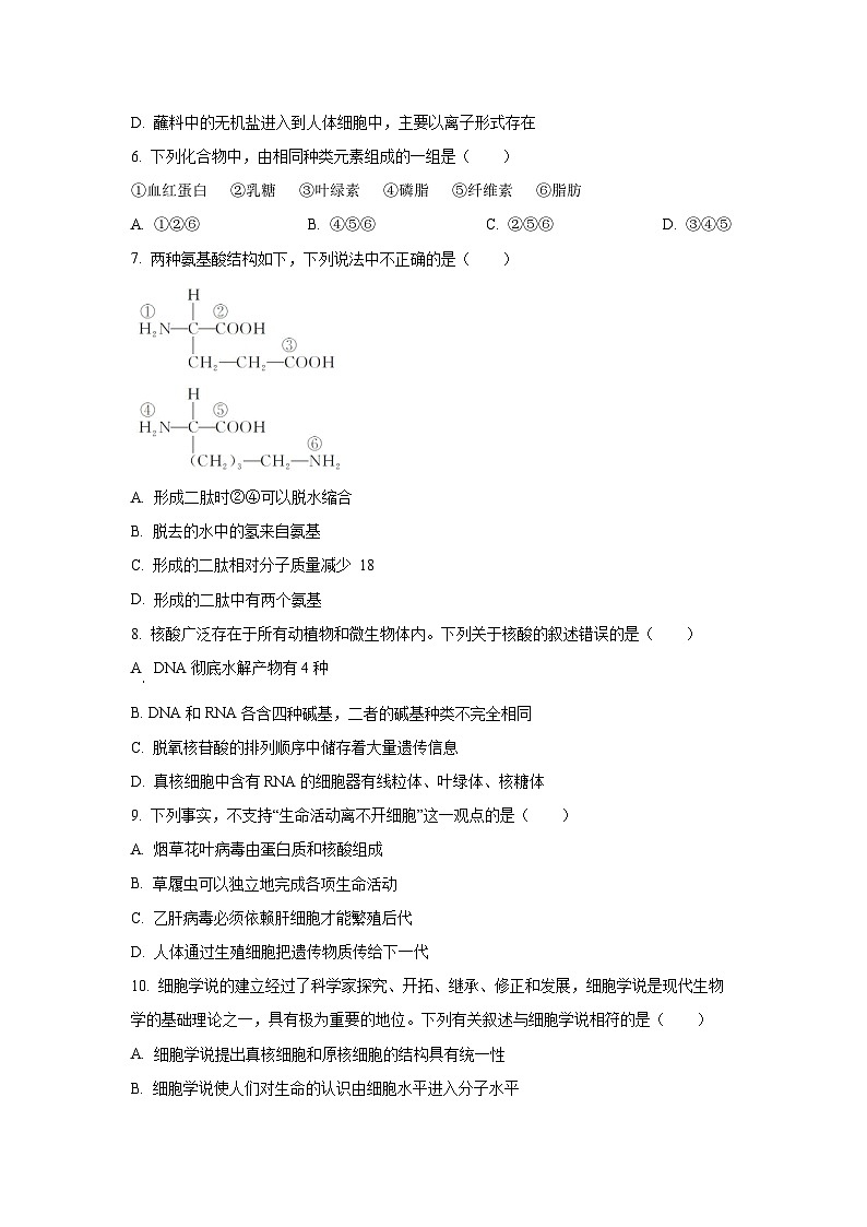 【生物】浙江省丽水市“五校高中发展共同体”2024-2025学年高一上学期10月联考试题（学生版）第2页