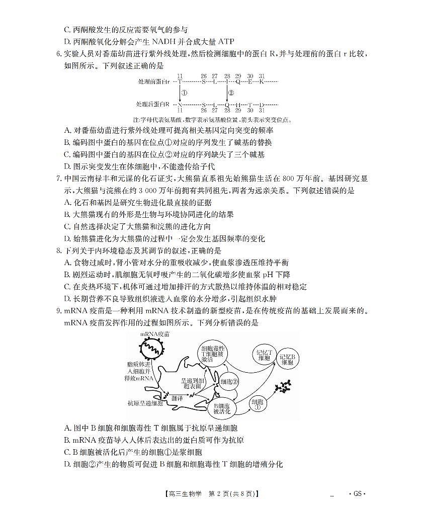 甘肃省金太阳2026届高三9月开学联考生物试卷+答案第2页