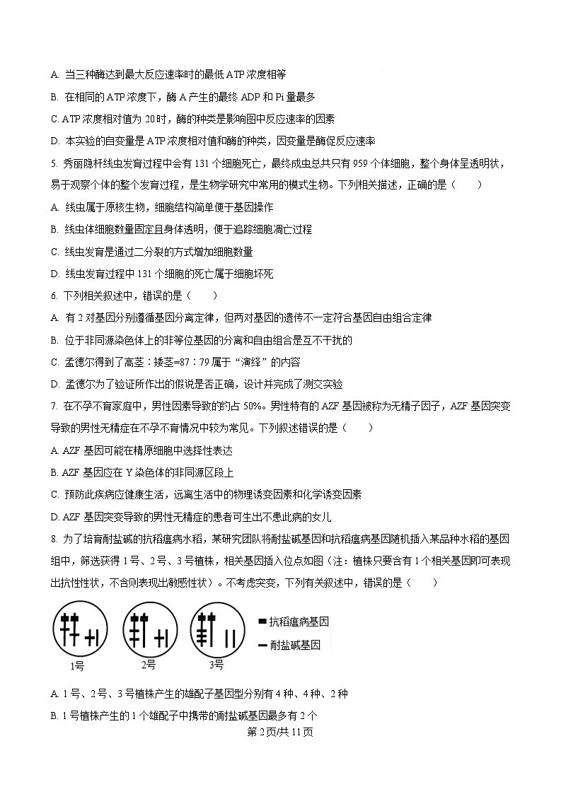 吉林省吉林市第一中学2026届高三上学期10月考试生物试卷第2页