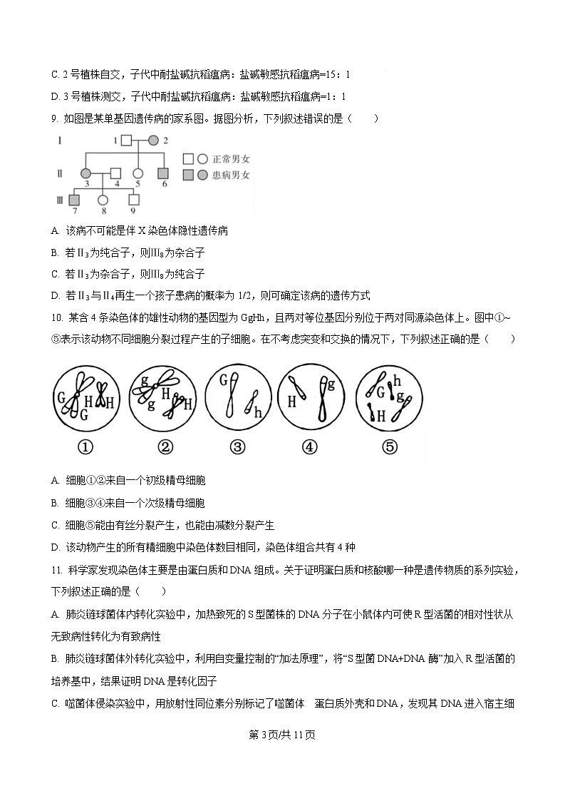 吉林省吉林市第一中学2026届高三上学期10月考试生物试卷第3页