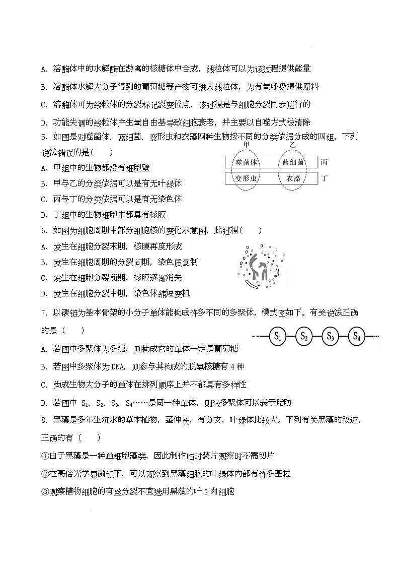 江苏省盐城市五校联考2026届高三10月月考生物第2页