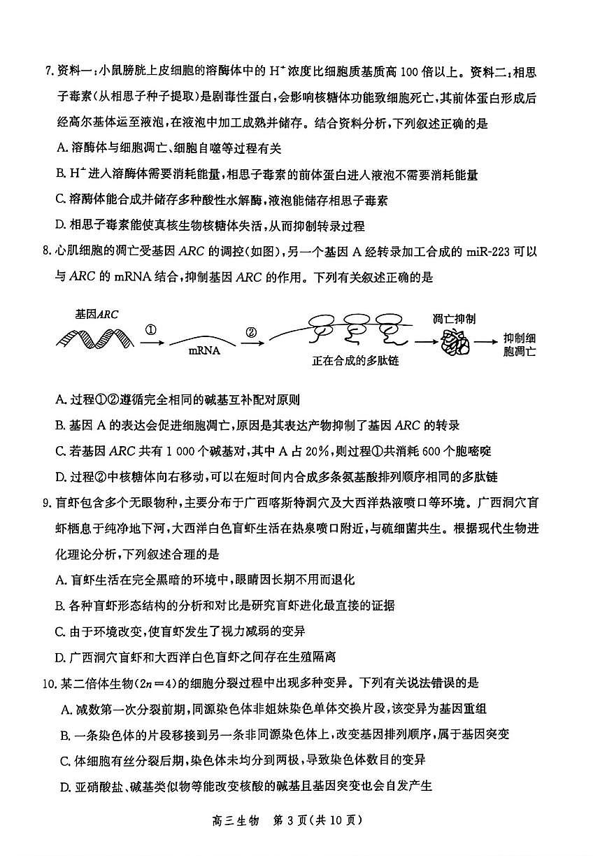 河北省2026届高三上学期10月阶段性联合测评生物试题+答案第3页