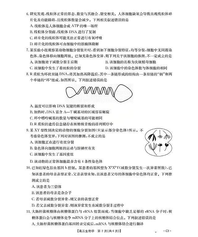 广东省部分学校2026届高三上学期10月联考生物C2试卷（PDF版附解析）第2页