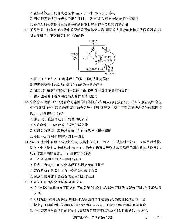广东省部分学校2026届高三上学期10月联考生物C2试卷（PDF版附解析）第3页
