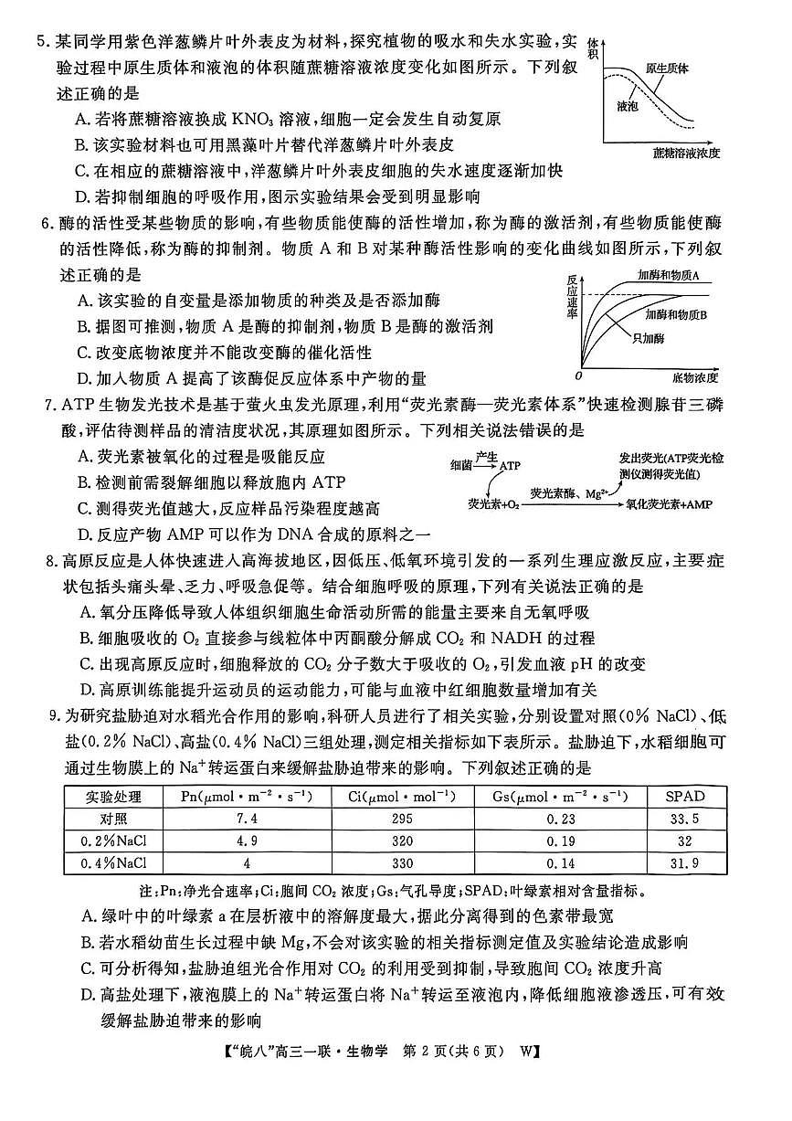 安徽省皖南八校2026届高三上学期10月第一次大联考生物试题+答案第2页
