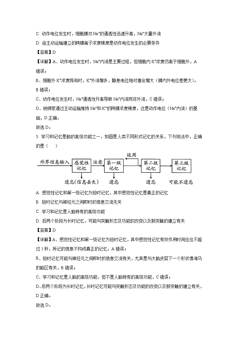 【生物】广西壮族自治区玉林市五校2025-2026学年高二上学期9月联考（解析版）第3页