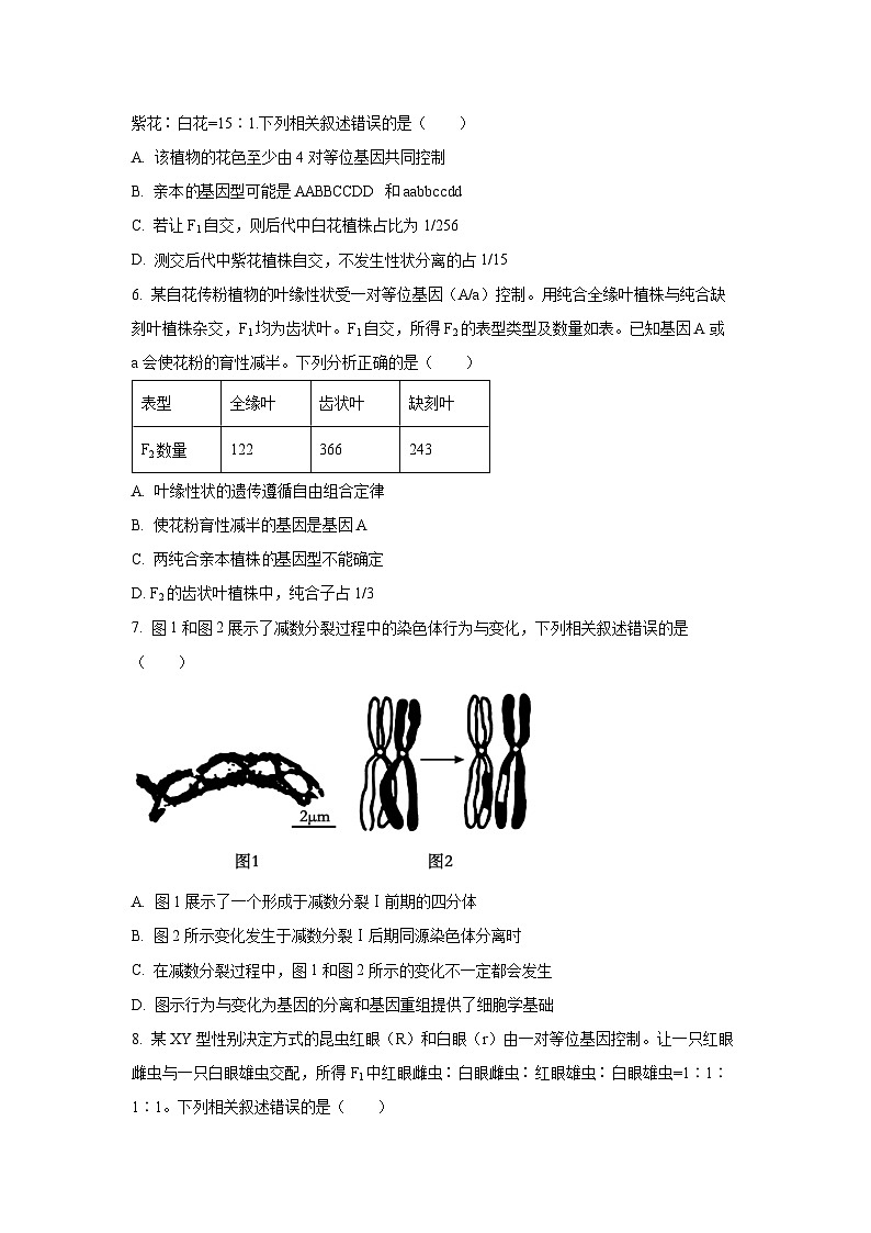 【生物】河南省名校秋季检测2025-2026学年高二上学期9月月考（学生版） 第2页