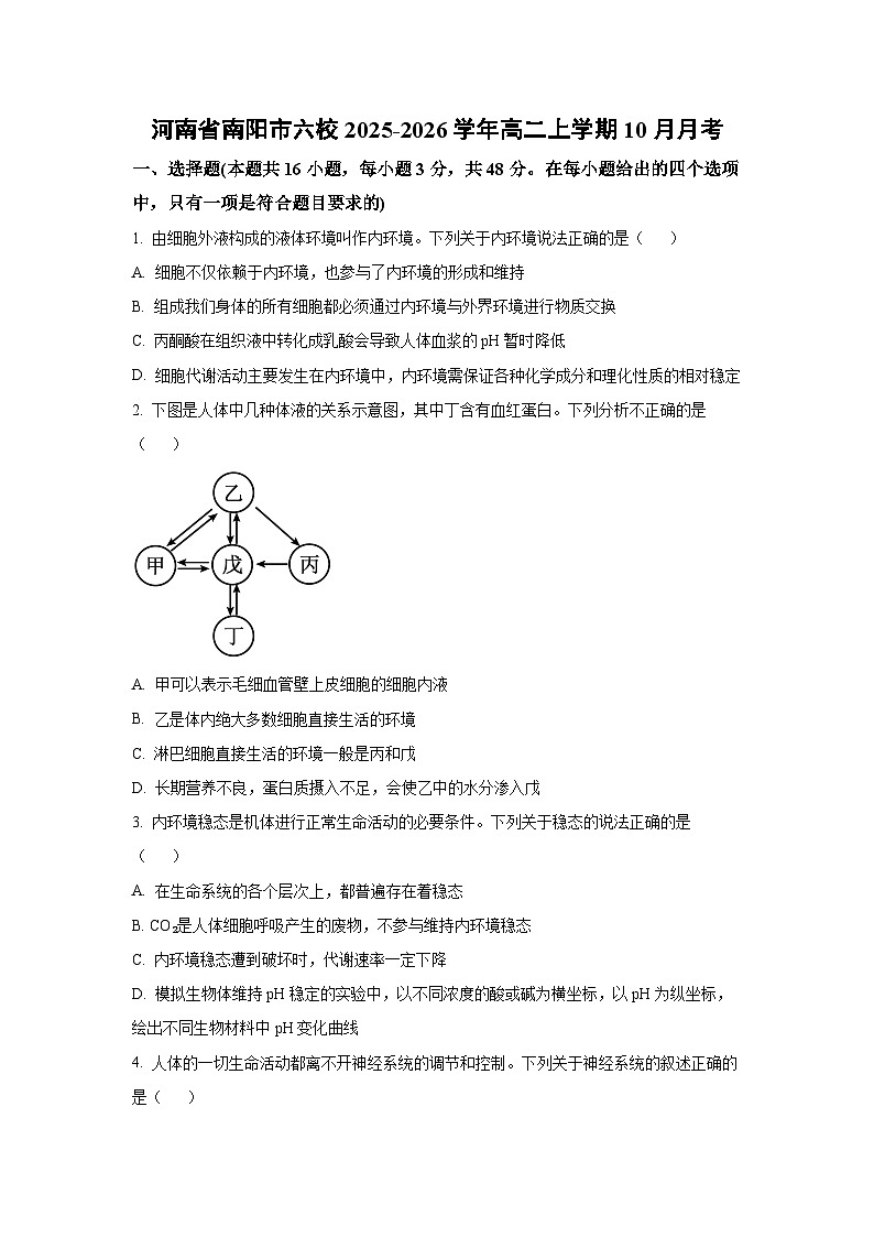 【生物】河南省南阳市六校2025-2026学年高二上学期10月月考（学生版） 第1页