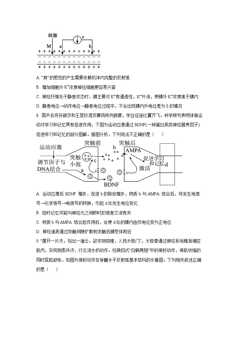 【生物】河南省南阳市六校2025-2026学年高二上学期10月月考（学生版） 第3页