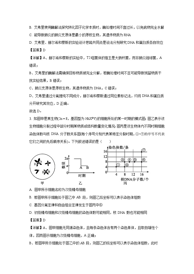 【生物】湖北省2025-2026学年高二上学期10月月考（解析版）第2页