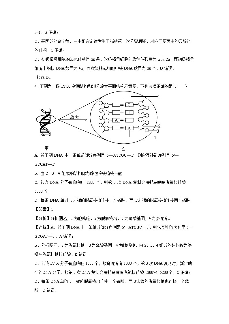 【生物】湖北省2025-2026学年高二上学期10月月考（解析版）第3页