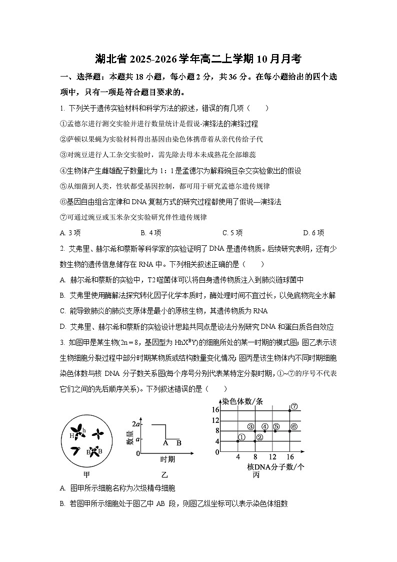 【生物】湖北省2025-2026学年高二上学期10月月考（学生版） 第1页