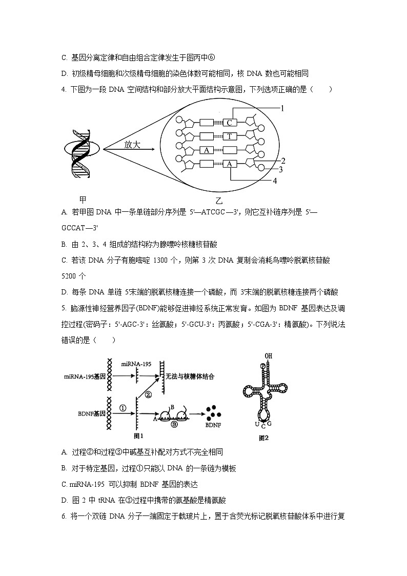 【生物】湖北省2025-2026学年高二上学期10月月考（学生版） 第2页