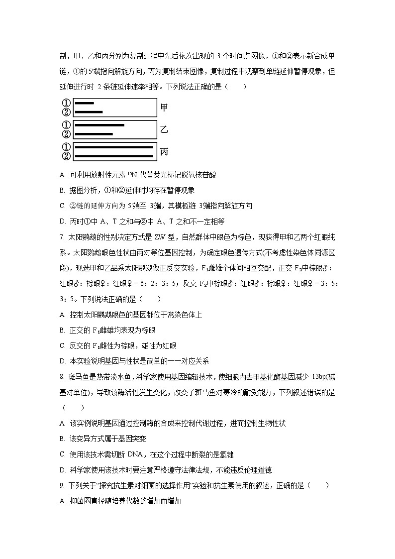 【生物】湖北省2025-2026学年高二上学期10月月考（学生版） 第3页
