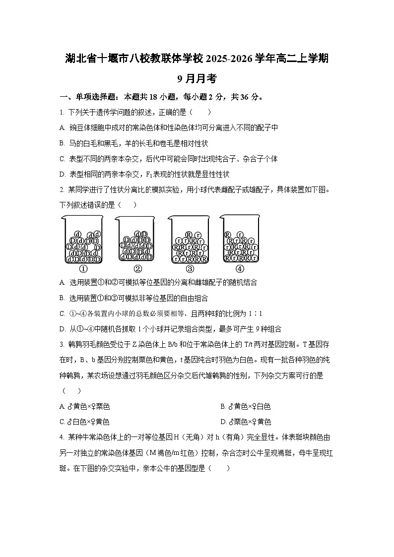 【生物】湖北省十堰市八校教联体学校2025-2026学年高二上学期9月月考（学生版） 第1页