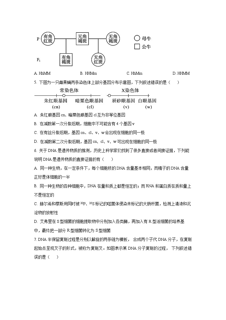 【生物】湖北省十堰市八校教联体学校2025-2026学年高二上学期9月月考（学生版） 第2页