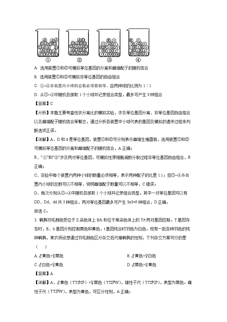 【生物】湖北省十堰市八校教联体学校2025-2026学年高二上学期9月月考（解析版）第2页