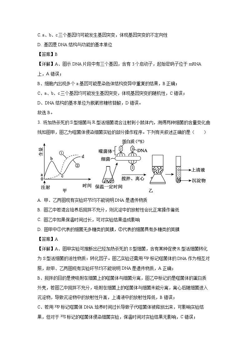 【生物】辽宁省名校联盟2025-2026学年高二上学期9月联合考试（解析版）第2页