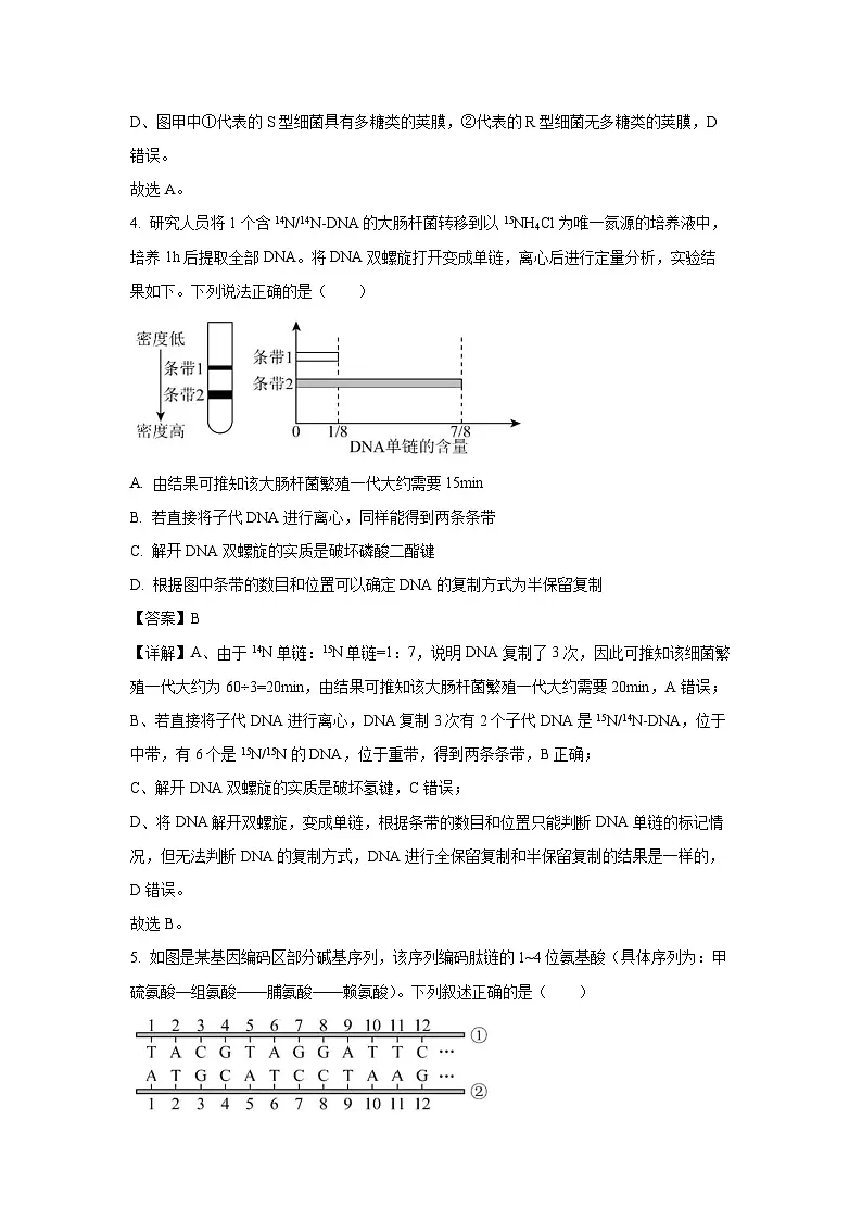【生物】辽宁省名校联盟2025-2026学年高二上学期9月联合考试（解析版）第3页