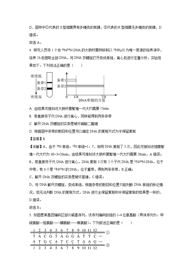 【生物】辽宁省名校联盟2025-2026学年高二上学期9月联合考试（解析版）第3页