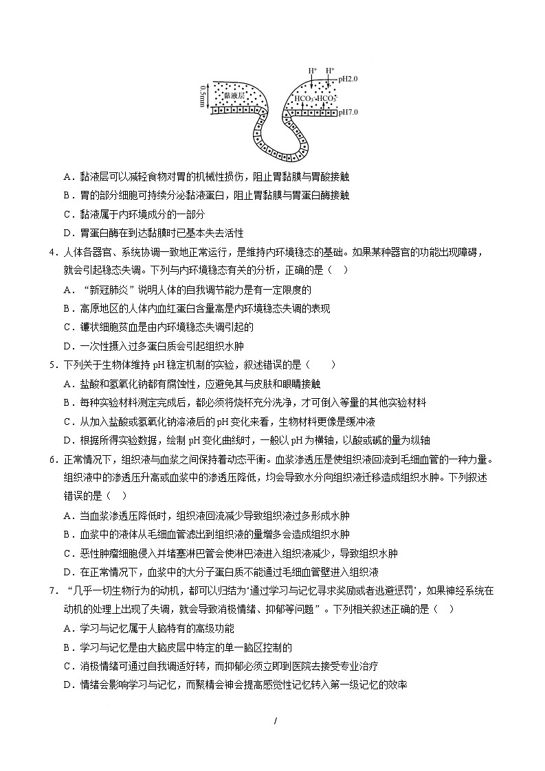 高二生物上学期第一次月考【测试范围：人教版2019选择性必修1第1章~第2章】（安徽专用）（考试版）第2页