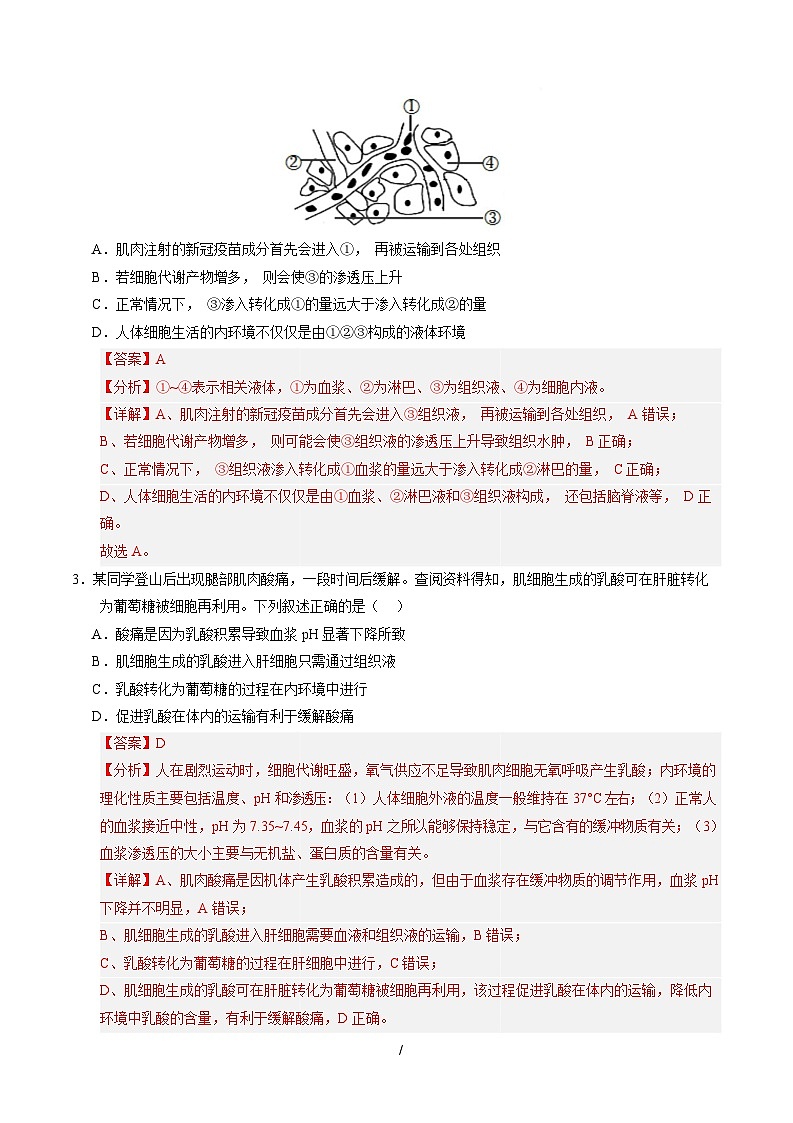 高二生物上学期第一次月考（广东专用）（全解全析）第2页