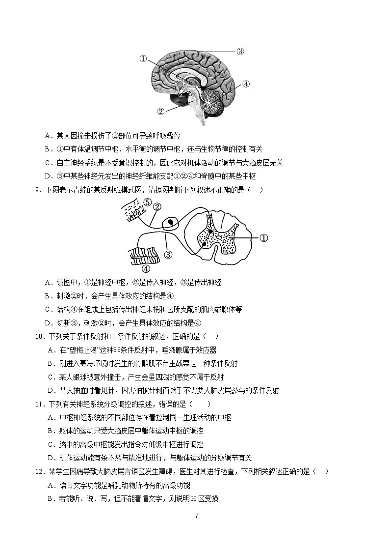 高二生物上学期第一次月考【测试范围：人教版2019选择性必修1第1章~第2章】（广东专用）（考试版）第3页