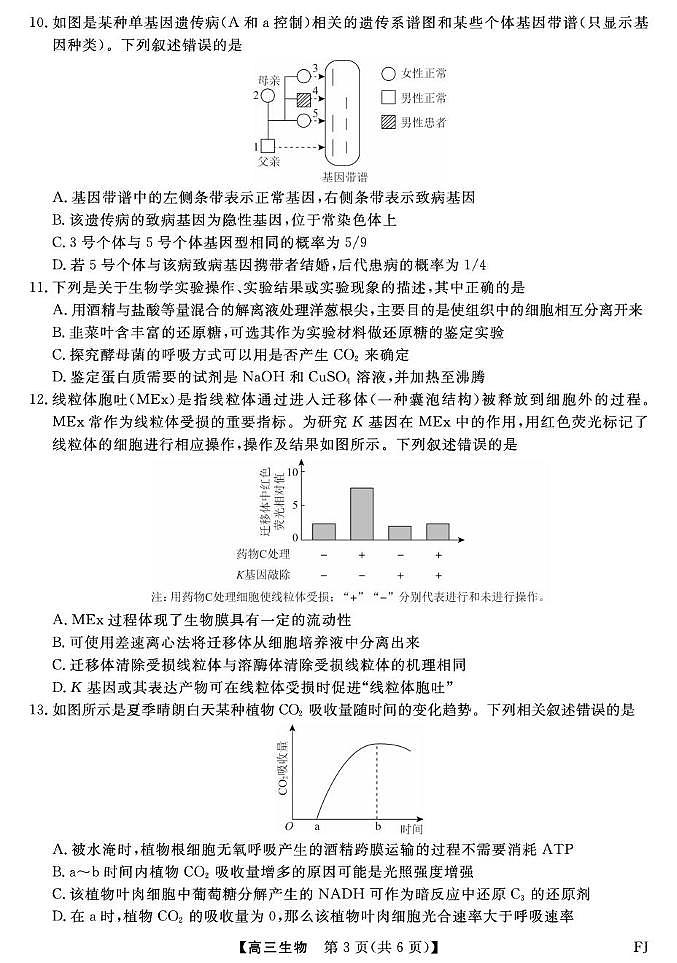福建省百校2026届高三上学期10月联合测评生物试题（含答案）第3页