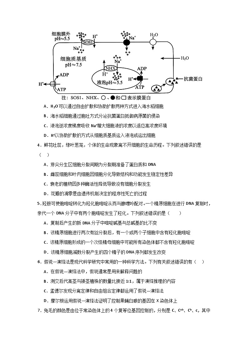 河南省信阳高级中学新校（贤岭校区）2025-2026学年高二上期09月测试（二）生物试题第2页