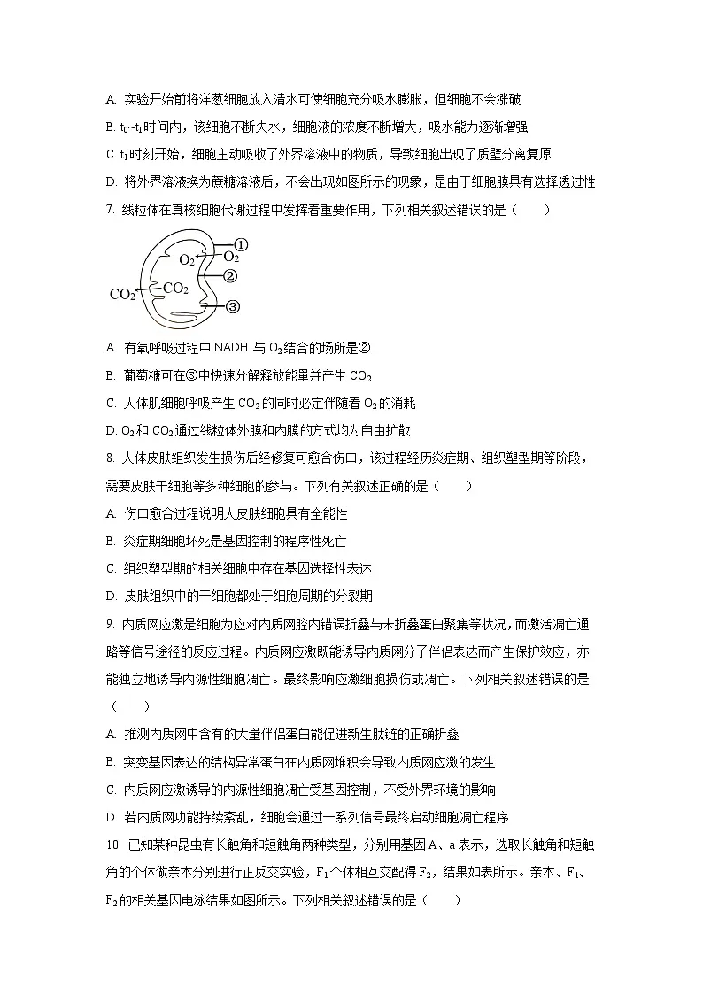 【生物】河北省保定市十校2025-2026学年高三上学期9月月考（学生版）第3页