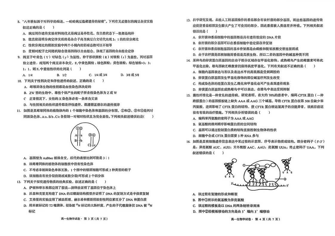云南省昆明市2024-2025学年高一下学期期中质量监测生物试题（无答案）第2页