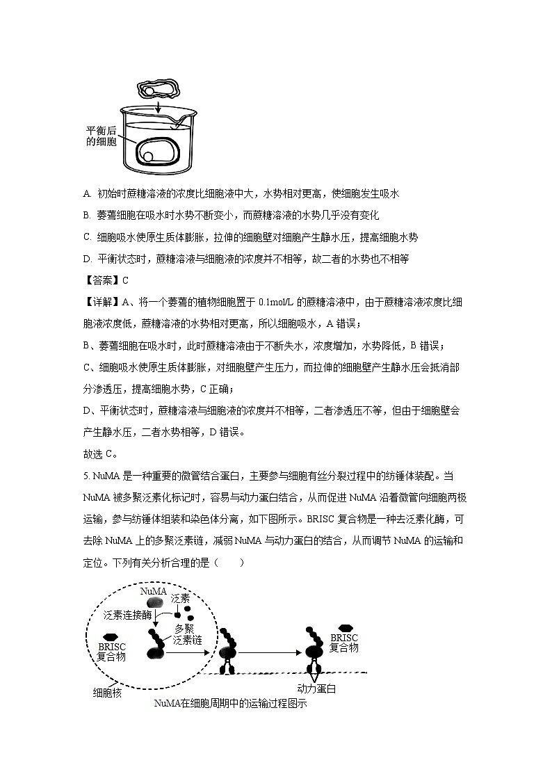 【生物】四川省巴中市2026届高三一模试题（解析版）第3页
