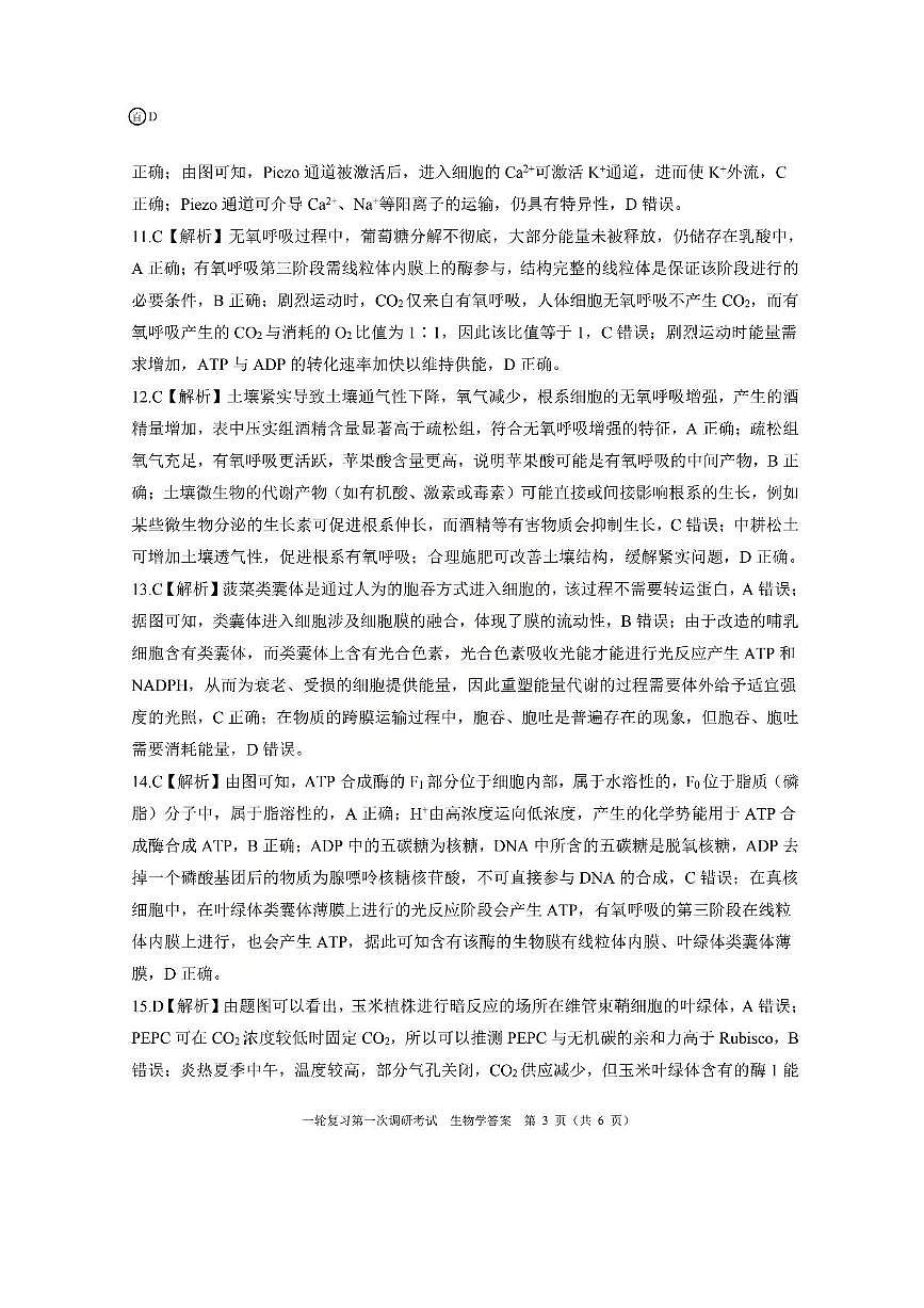 生物答案（D）第3页