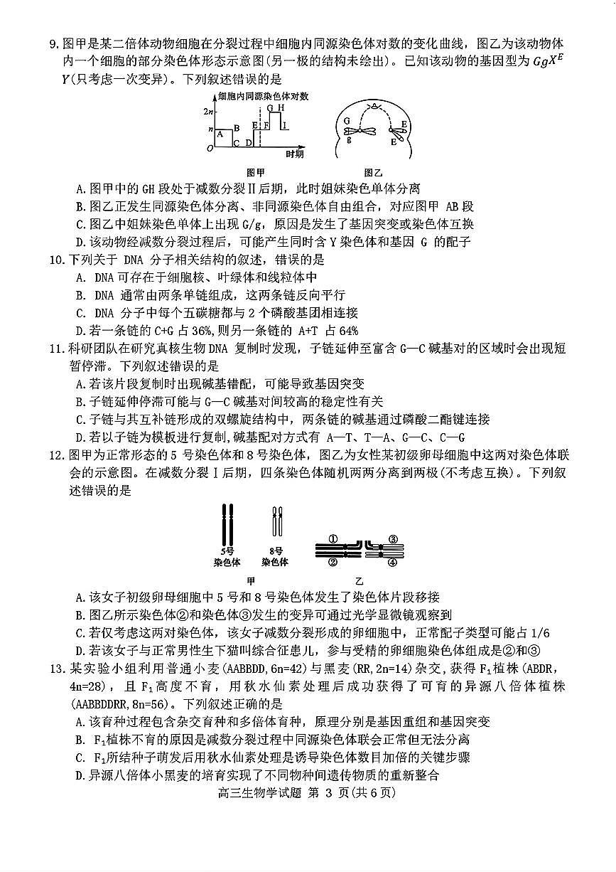 2025年河南省新未来高三上学期10月生物试题及答案第3页