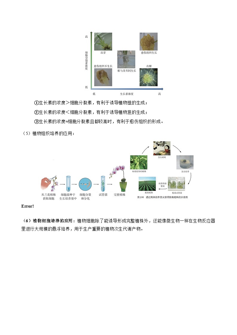 第30讲 植物细胞工程（知识清单）-2026年高考生物一轮复习讲练（上海专用）第3页