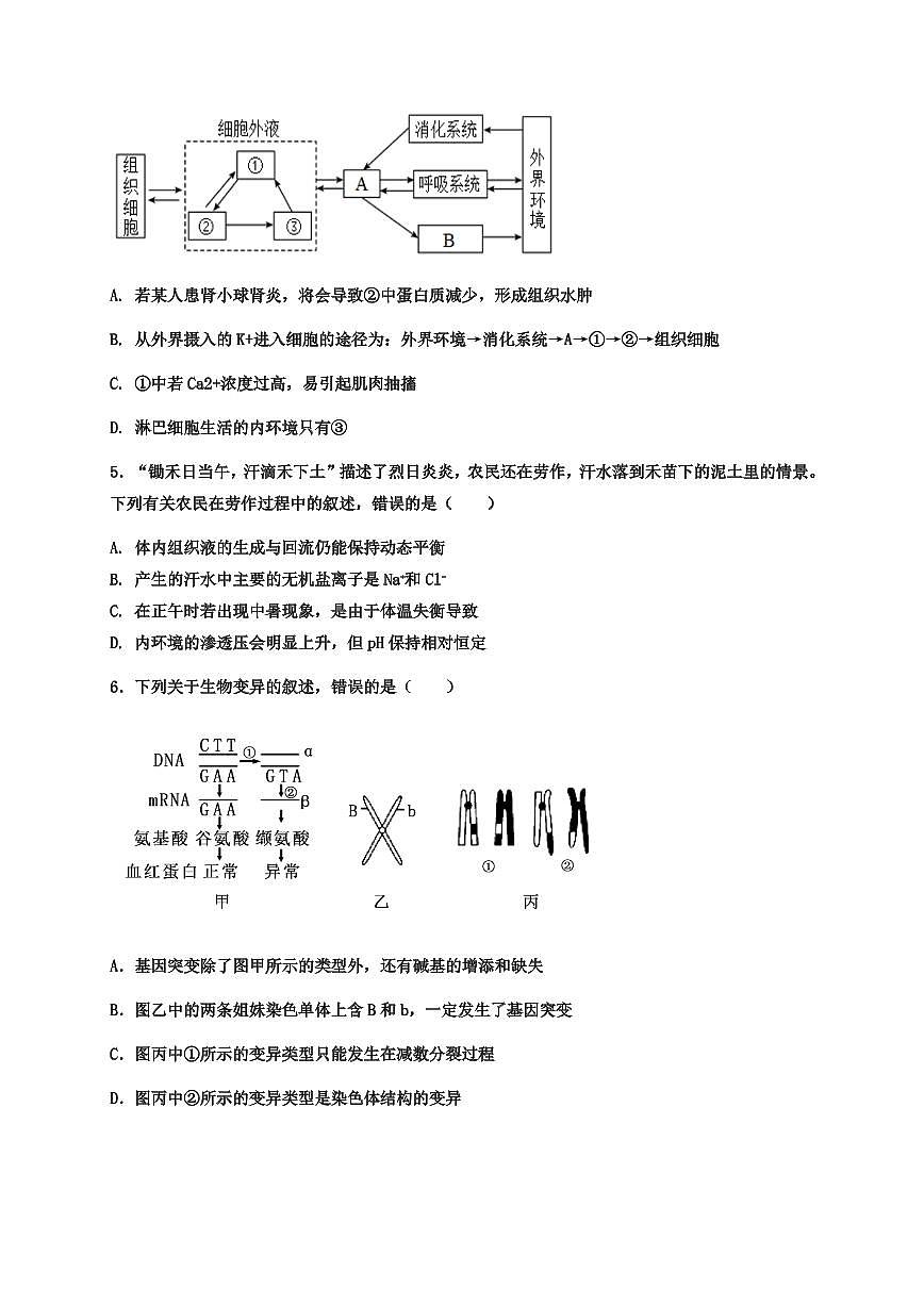 广东省阳江市第三中学2025-2026学年高二上学期开学生物试卷第2页