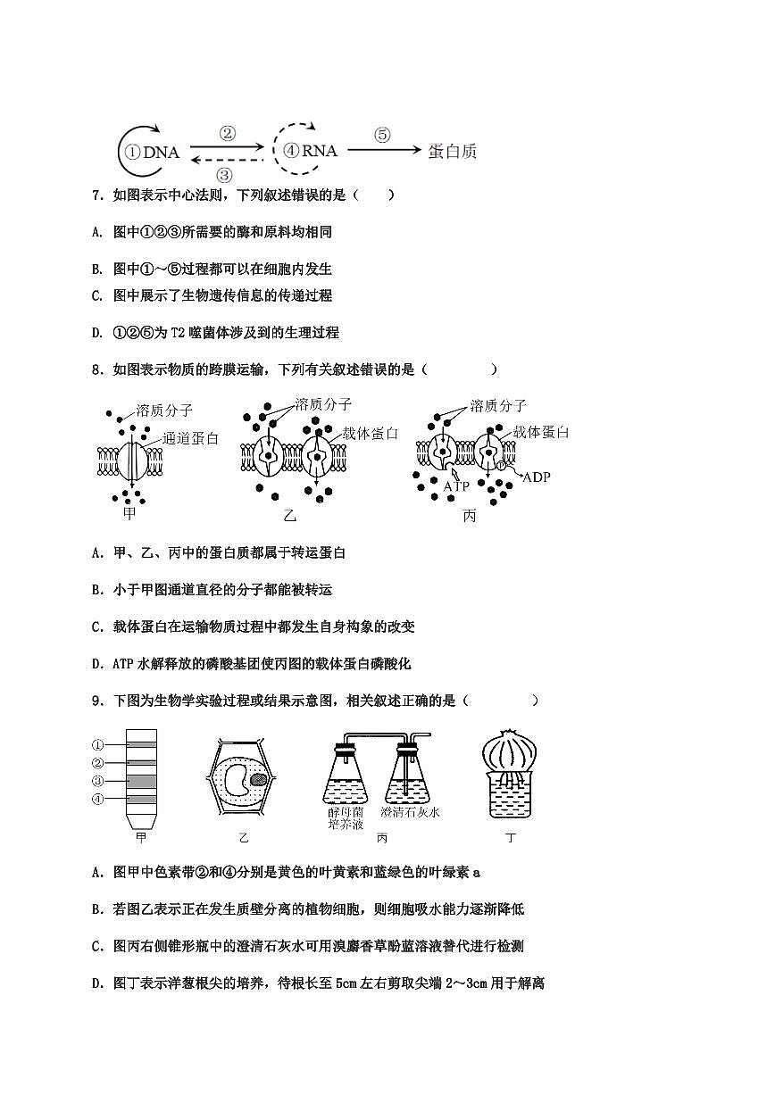 广东省阳江市第三中学2025-2026学年高二上学期开学生物试卷第3页