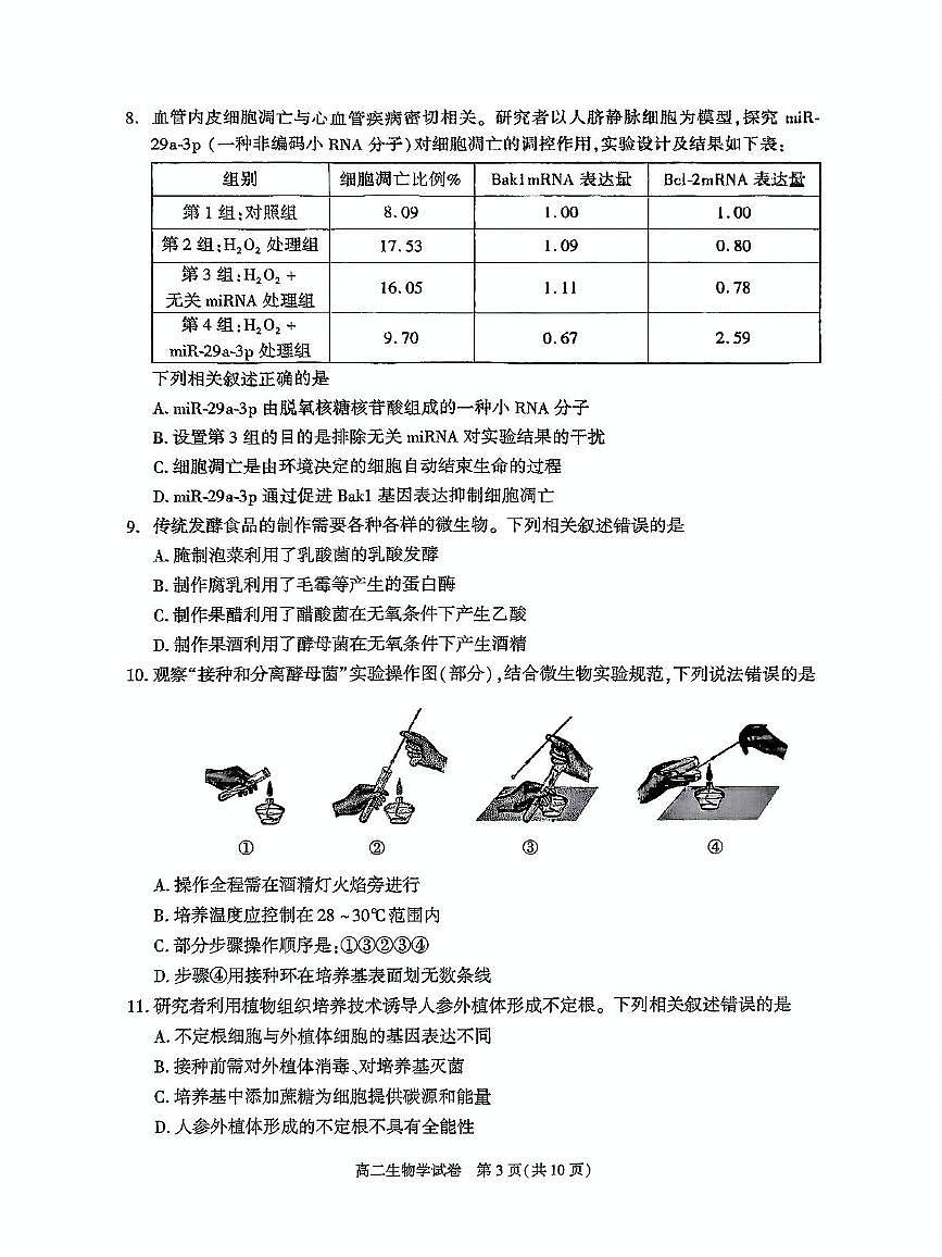 北京市朝阳区2024-2025学年高二下学期期末生物试卷+答案第3页