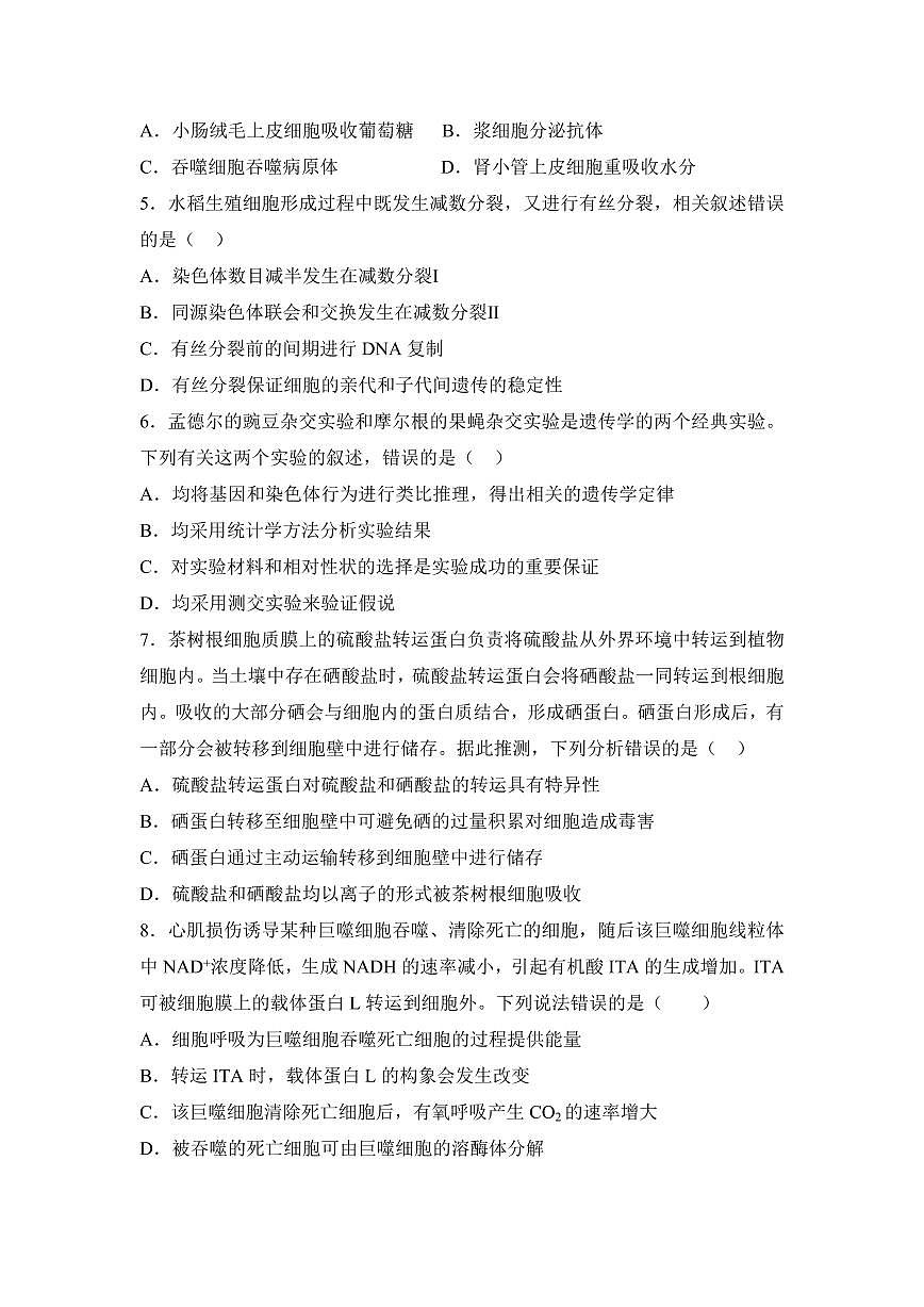 湖南省衡阳市衡阳县第四中学2024-2025学年高一下学期3月第一次月考生物学试题(含答案）第2页