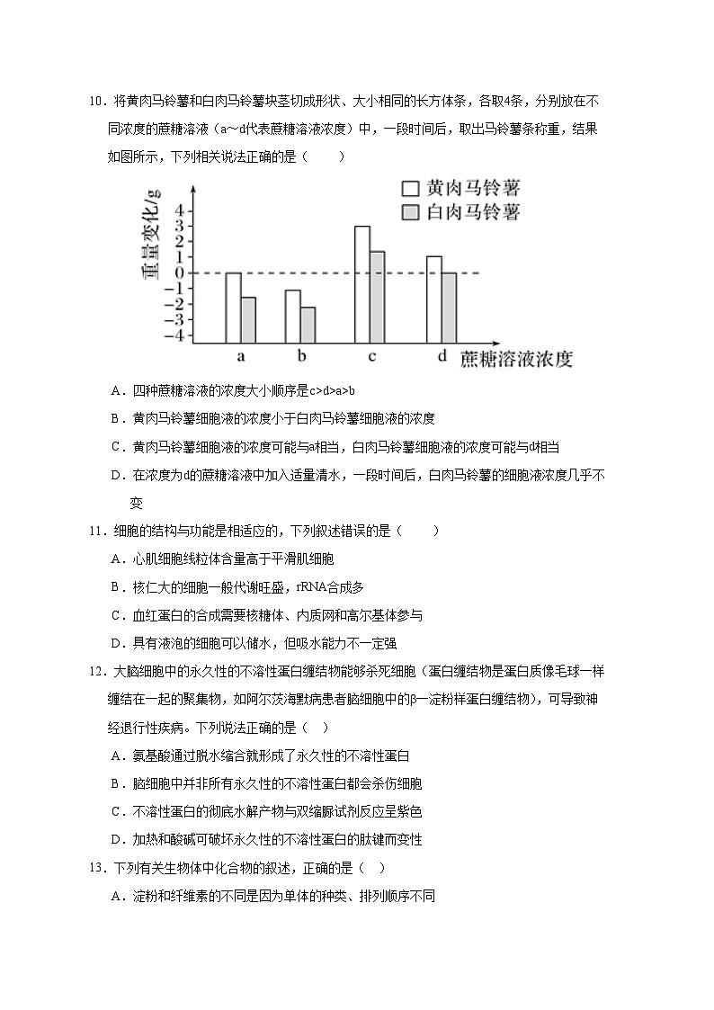 2025-2026学年高一生物期中模拟卷01【测试范围：人教版必修1前4章】（考试版）（新高考通用版）第3页