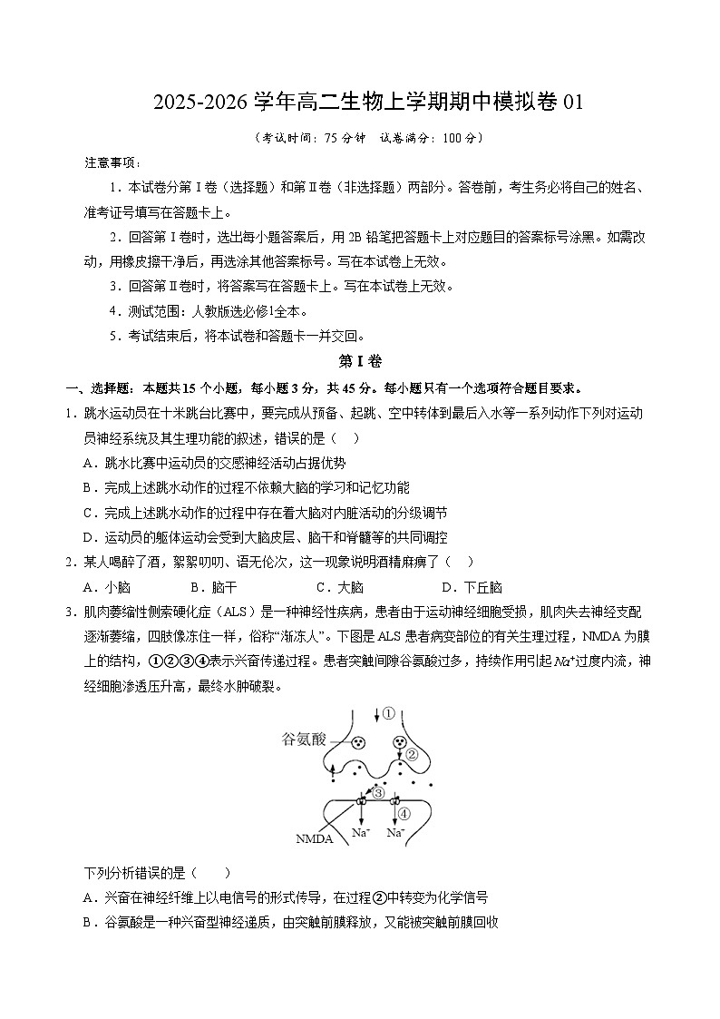 2025-2026学年高二生物期中模拟卷01【测试范围：人教版选必修1全本】（考试版）（新高考通用版）第1页