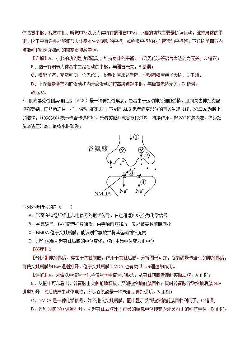 2025-2026学年高二生物期中模拟卷01（解析版）（新高考通用版）第2页