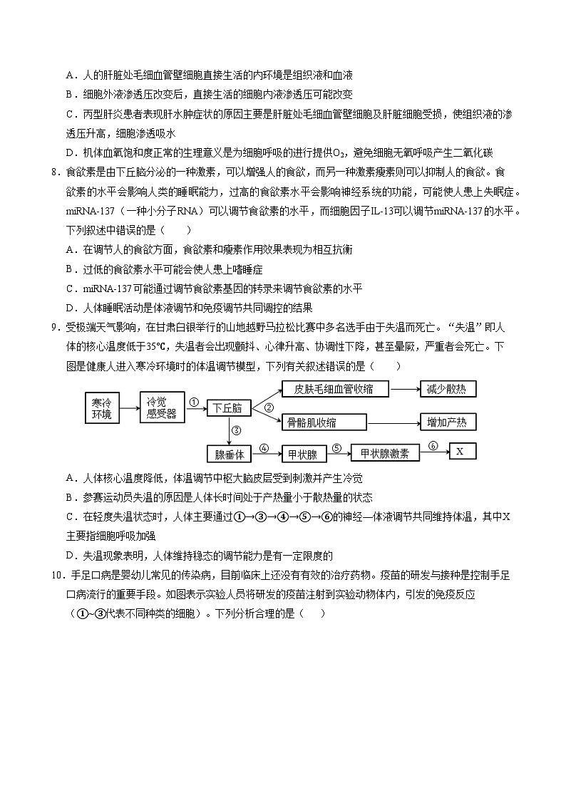 新高考高二生物上学期期中模拟卷【测试范围：选择性必修一】（考试版）（新高考通用版）（15单选+5多选+5非选择）第3页
